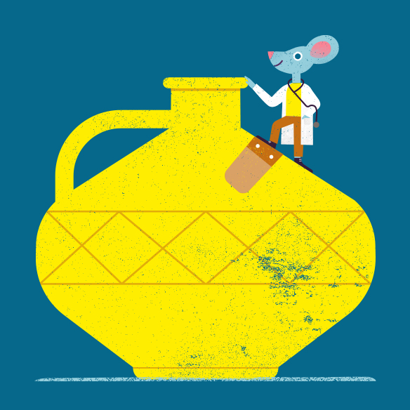 De kleine museumdokter (°2011-2016)